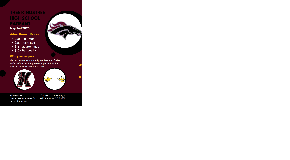 footer_image