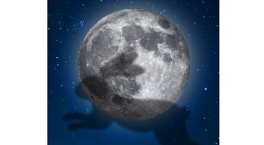 footer_image